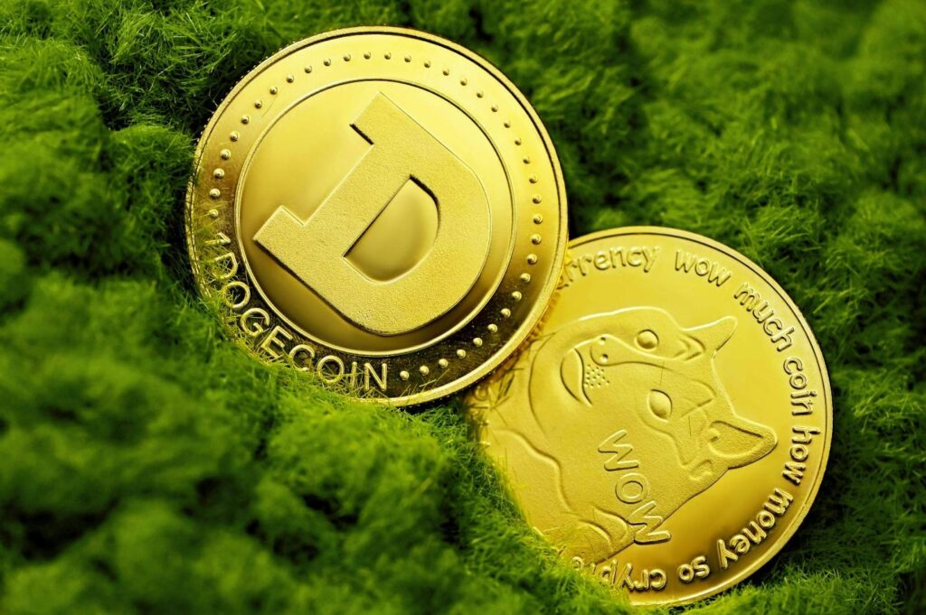 gold round coin on green grass